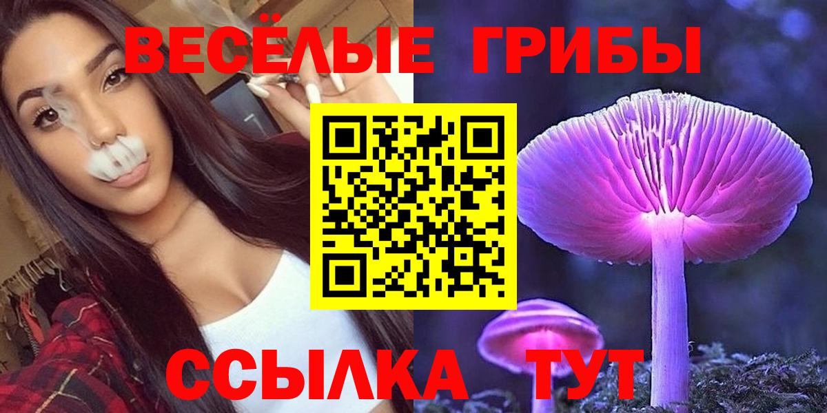 Галлюциногенные грибы GOLDEN TEACHER Миллерово